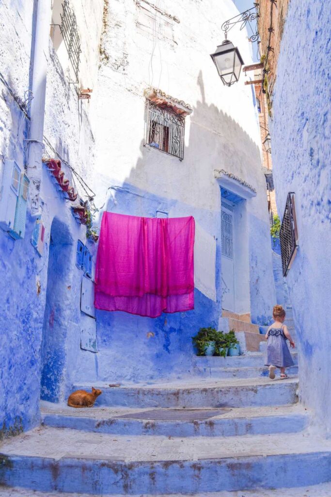 A ginger cat watches a young child in a blue dress walks walk up blue stairs in Chefchaouen