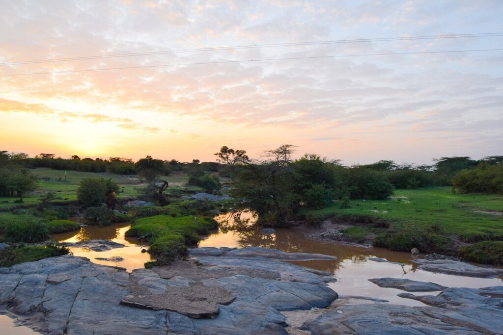 The sun rises over the bush in the Masai Mara