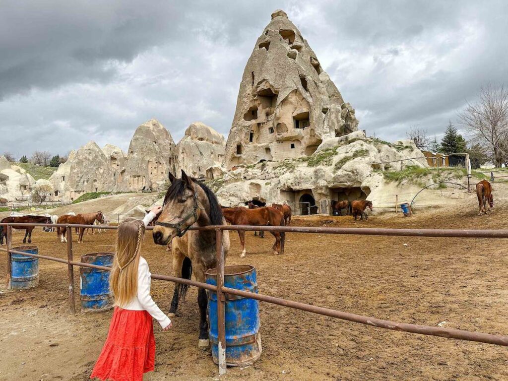 Young girl strokes a brown horse in Cappadocia
